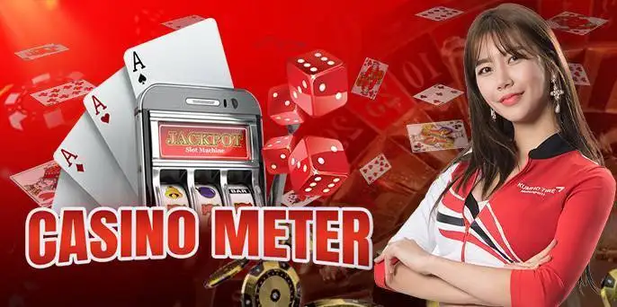 11xplay Reddy Login Terms and Condition